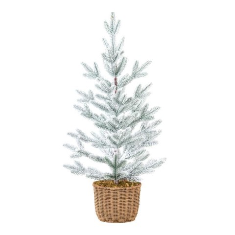 PINETTO DOUGLAS INNEVATO C CES